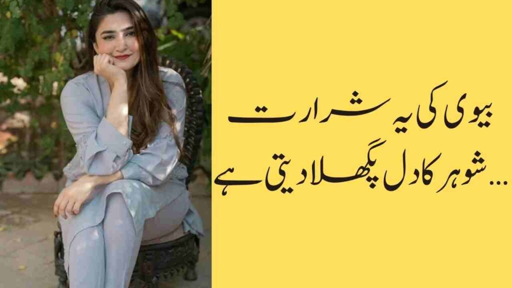 بیوی کی یہ شرارت شوہر کا دل پگھلا دیتی ہے…