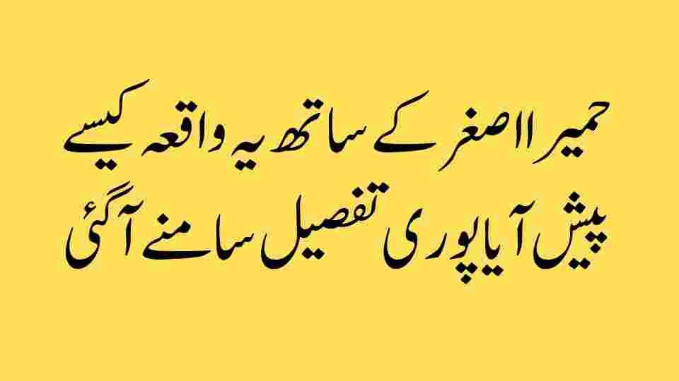 حمیرا اصغر کے ساتھ پیش آنے والے واقعے کی تفصیل سامنے آ گئی – سبق آموز تجزیہ