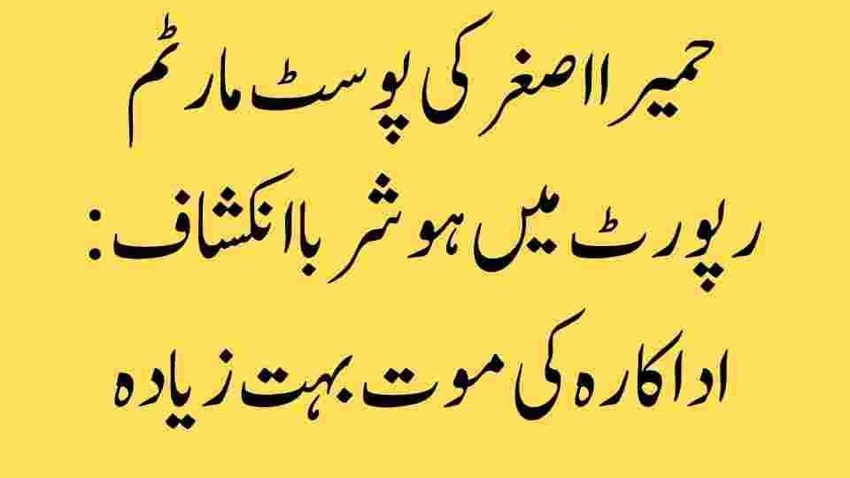 اداکارہ حمیرا اصغر کا واقعہ: ہمارے معاشرے کا آئینہ